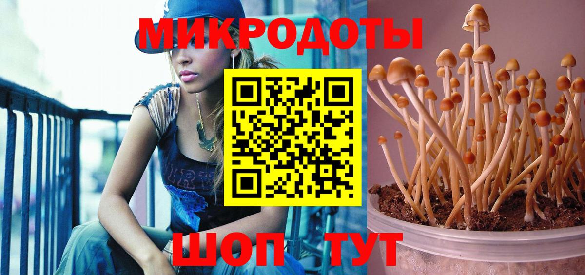 Галлюциногенные грибы мухоморы Карпинск