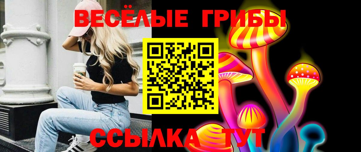 Карпинск  Псилоцибиновые грибы Psilocybe  Псилоцибиновые грибы мицелий  Вход с VPN 
